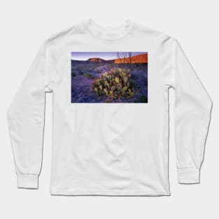 Opuntia In Chihuahuan Desert Landscape Big Bend National Park Long Sleeve T-Shirt